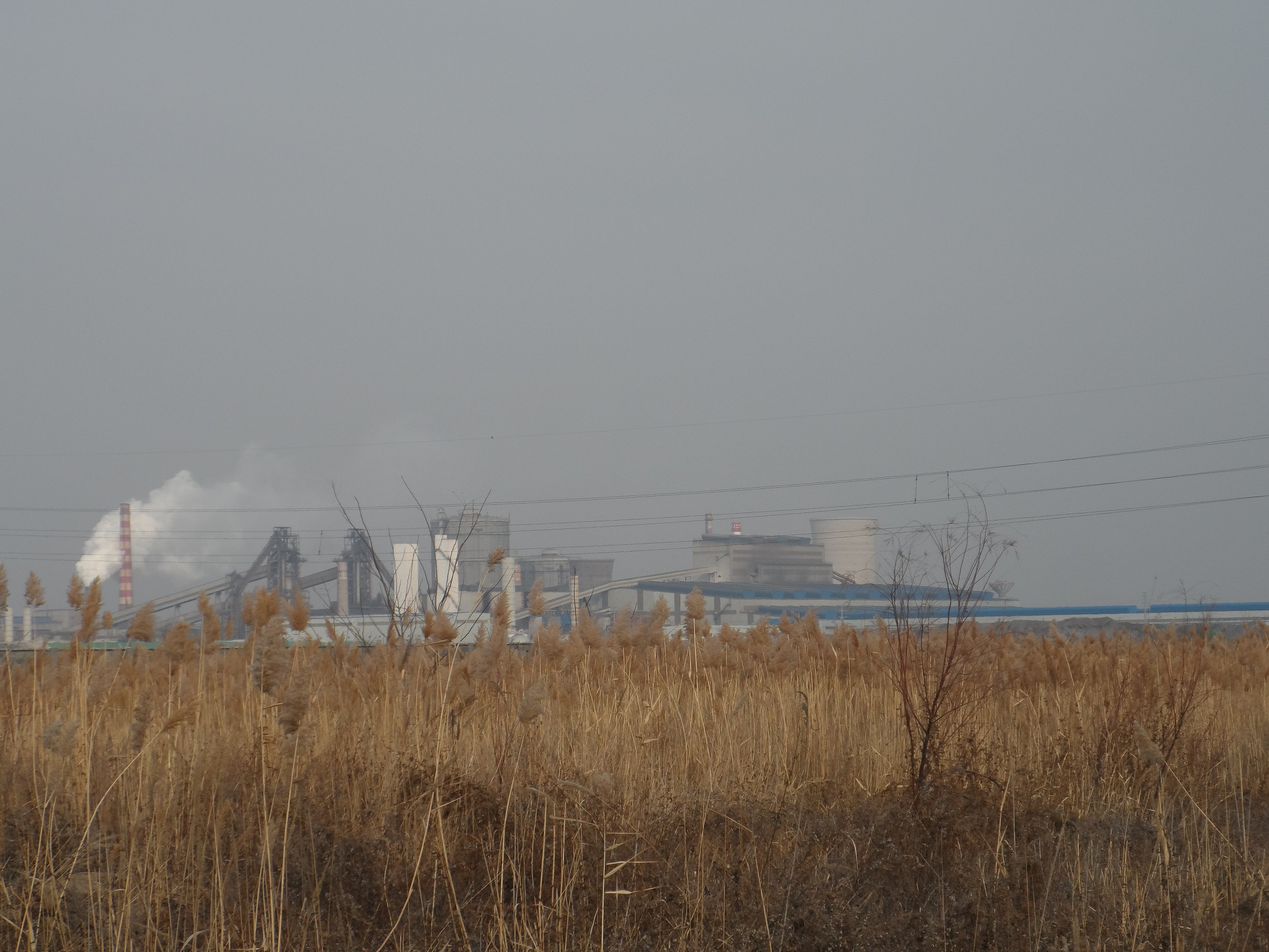 說明: E:\2013年未完成項目\百度云同步盤\2016年\（書）剛和石油（營口）有限公司8萬噸潤滑油脂加工項目2016.11.16\現場照片\SAM_7598.JPG